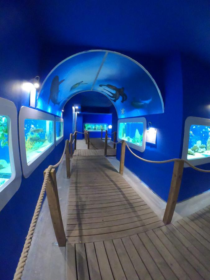 웨바 Dolphin House B&B 외부 사진