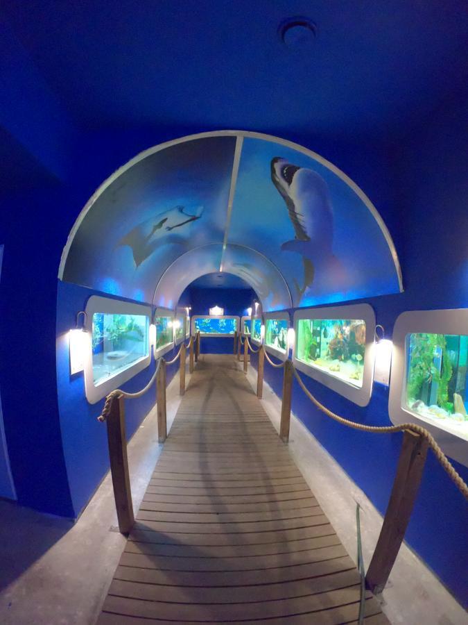 웨바 Dolphin House B&B 외부 사진