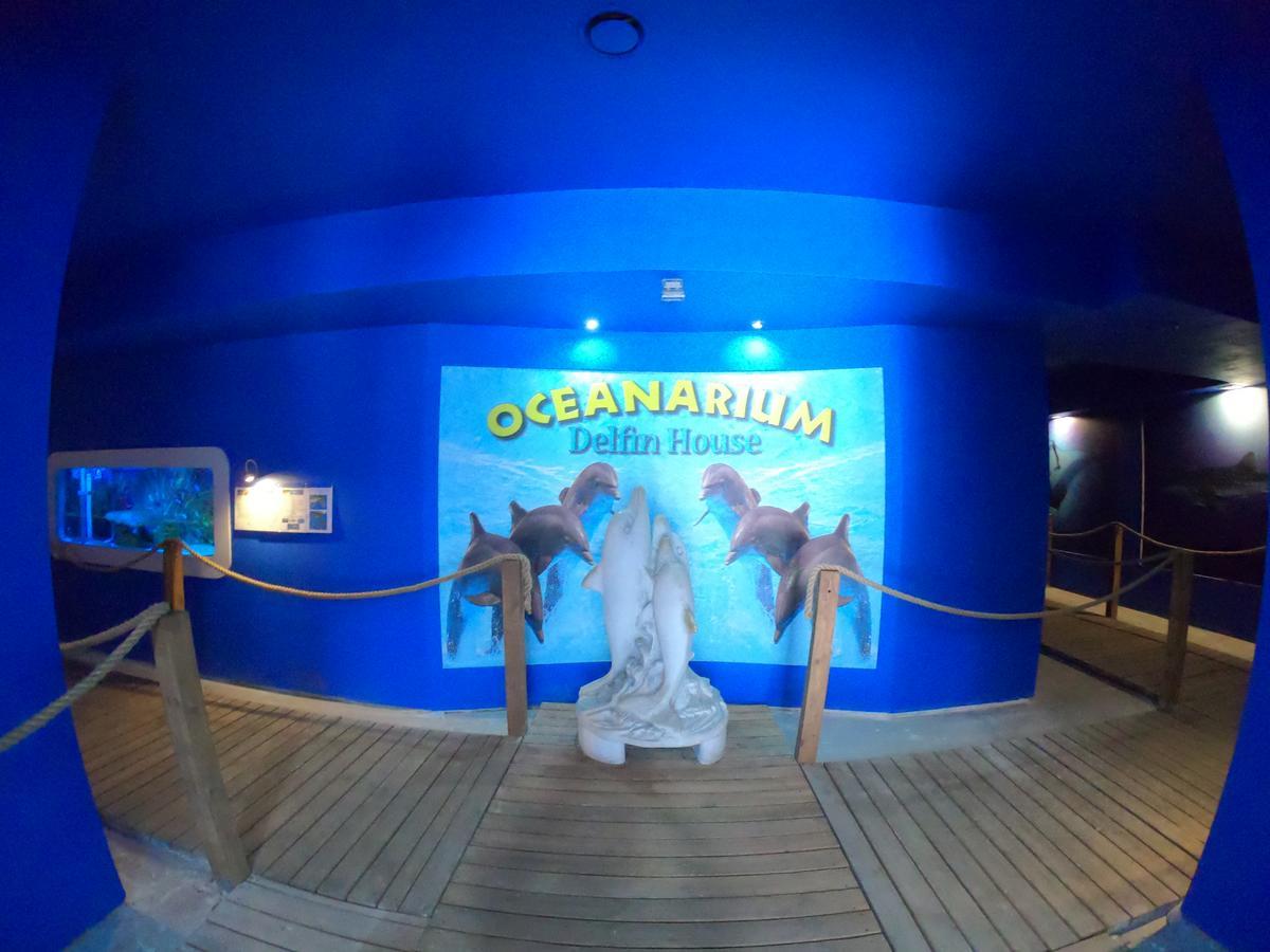 웨바 Dolphin House B&B 외부 사진